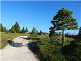 Kranjski Rak  - Kapela Marije Snežne (Velika planina)